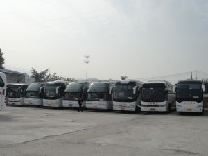 豪华大巴33-53座