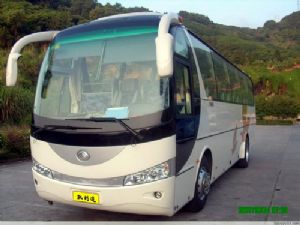 45座宇通旅游大巴3
