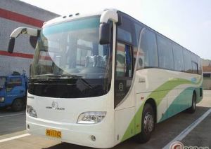 49座金龙旅游大巴3