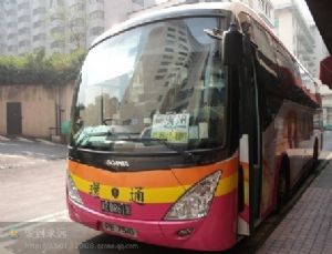 粤港澳直通车45座