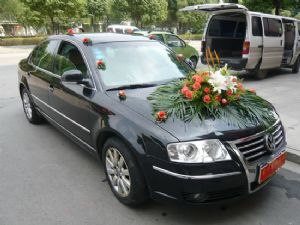 帕萨特·婚车 (300元天)