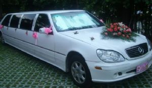 加长奔驰·婚车 (5800元天)